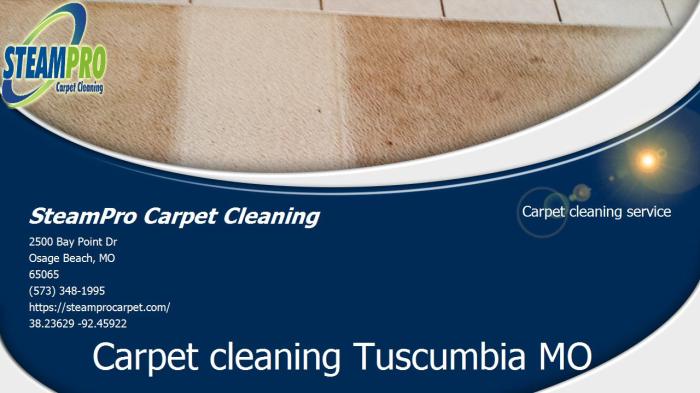 SteamPro Carpet Cleaning - Tuscumbia MO