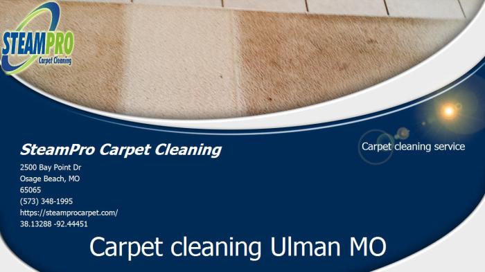 SteamPro Carpet Cleaning carpet cleaning service (573) 348-1995